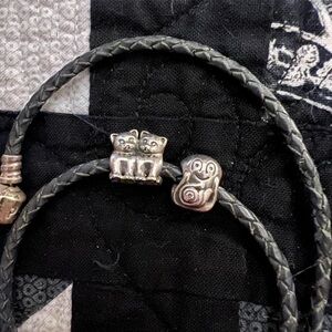 Pandora Charms